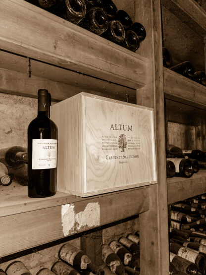 6 Flaschen ALTUM Cabernet Sauvignon trocken in exklusiver ALTUM-Holzbox